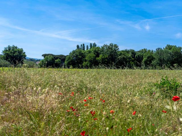 Sentier Peyron Grimaud Var (19)