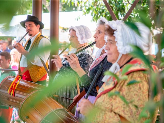 Fete Saint Michel Grimaud Provence 30