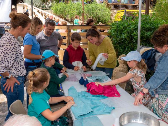 Foire De La Laine Grimaud Provence 16