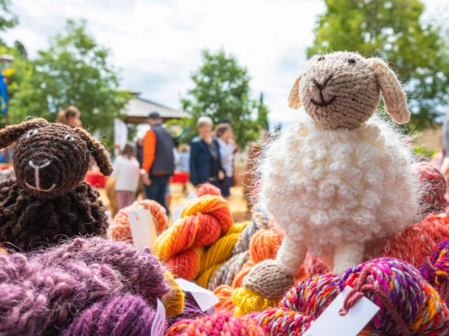 Foire De La Laine Grimaud Provence 19