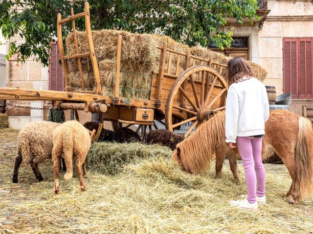 Foire De La Laine Grimaud Provence 22