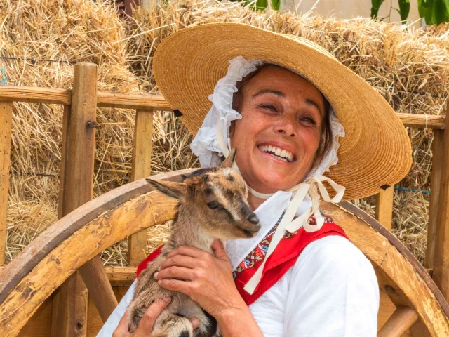 Foire De La Laine Grimaud Provence 24