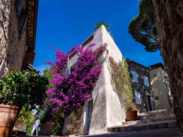 Grimaud Village Historique Var 83