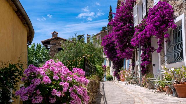 Grimaud Village Historique Var 85