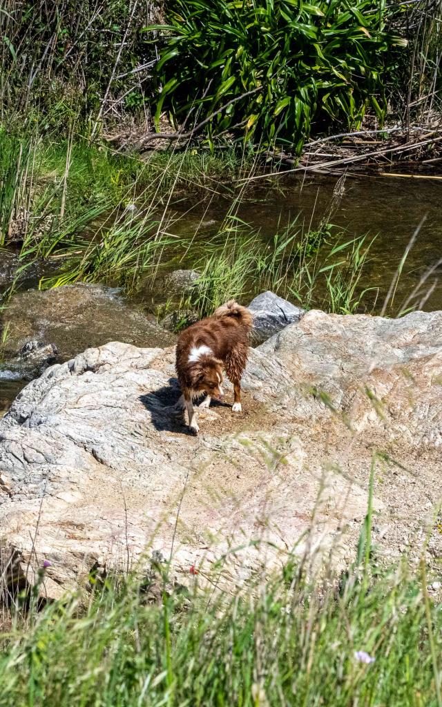 Pont Des Fees Grimaud Var 34