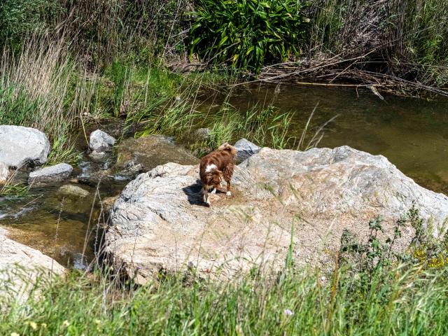 Pont Des Fees Grimaud Var 34