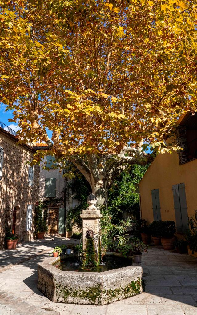 Automne Grimaud Var Provence 31