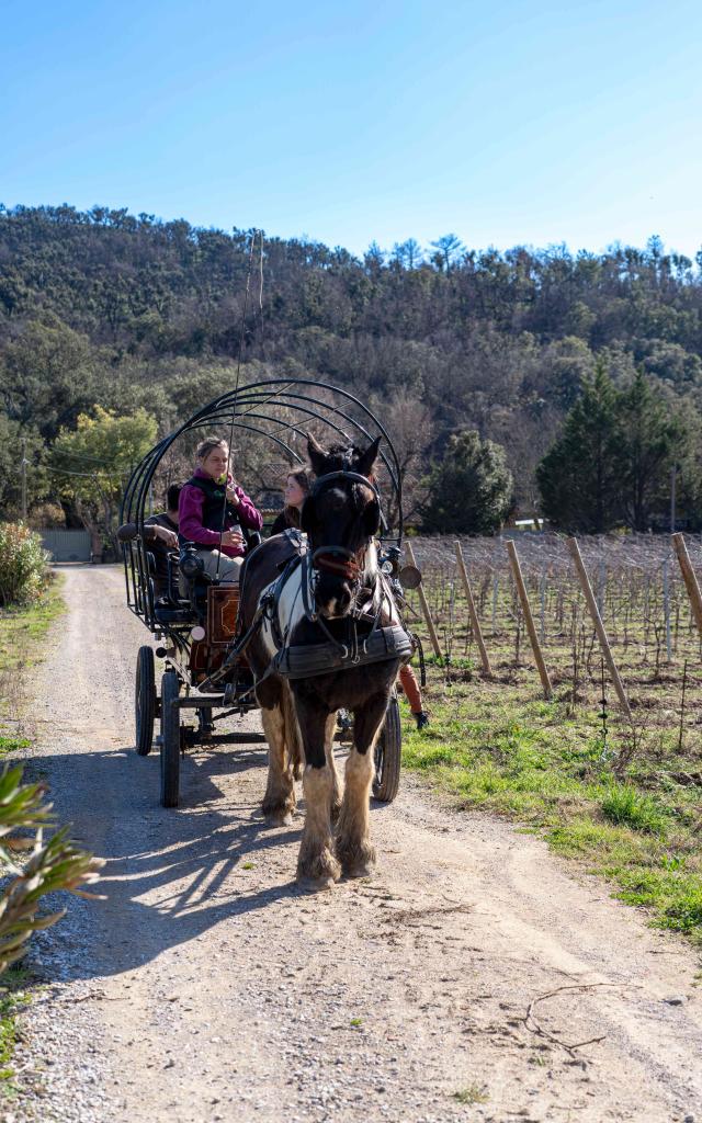 Balade Cheval Grimaud 1