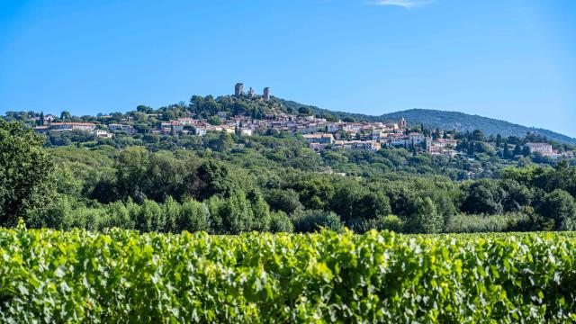 Chateau De Grimaud Var 18