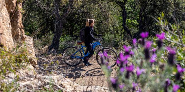 Faire Du Velo A Grimaud 1