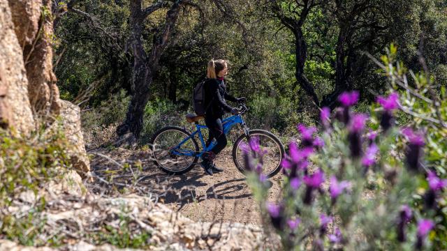 Faire Du Velo A Grimaud 1