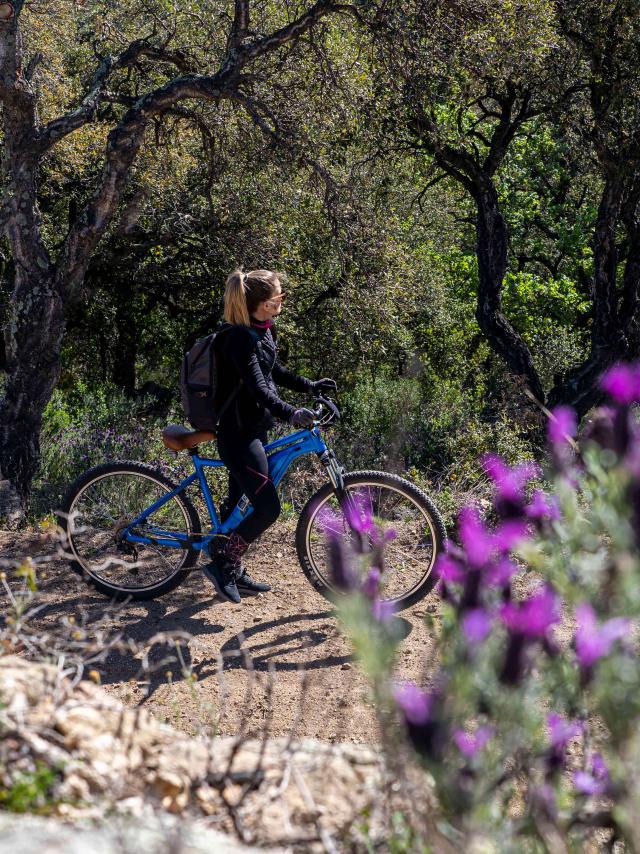 Faire Du Velo A Grimaud 1