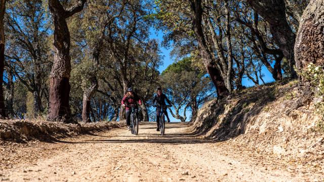 Faire Du Velo A Grimaud 3