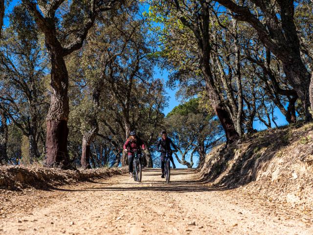 Faire Du Velo A Grimaud 3