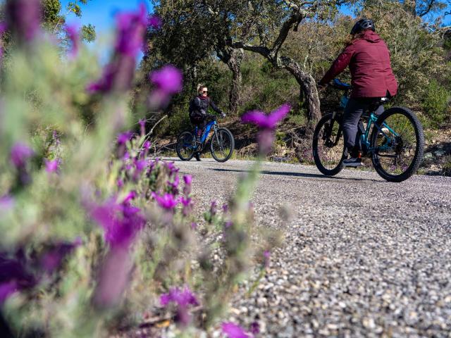 Faire Du Velo A Grimaud 4