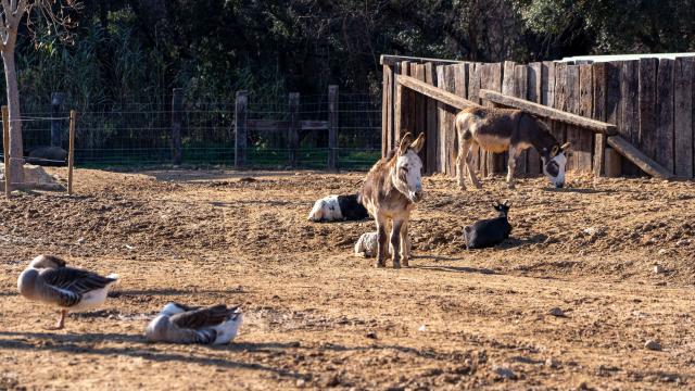 Ferme Ranch De La Mene Grimaud 1