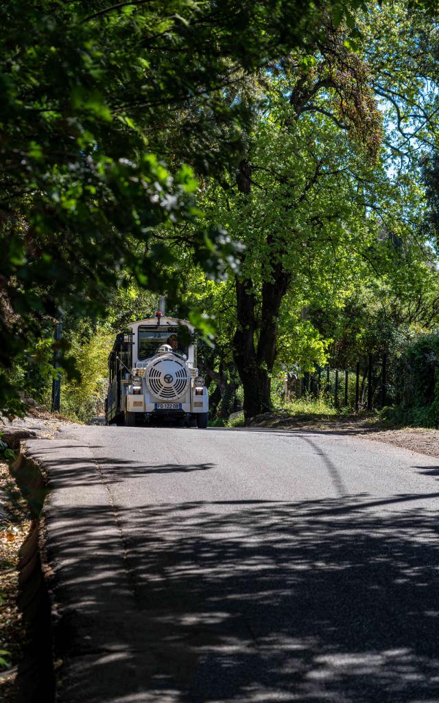 Petit Train Grimaud 1