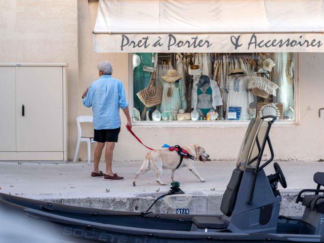 Voyager Avec Mon Chien Grimaud Golfe St Tropez 15