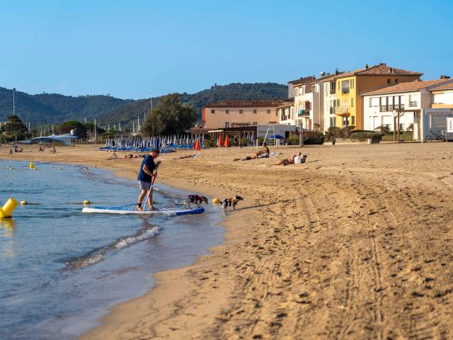 Voyager Avec Mon Chien Grimaud Golfe St Tropez 19