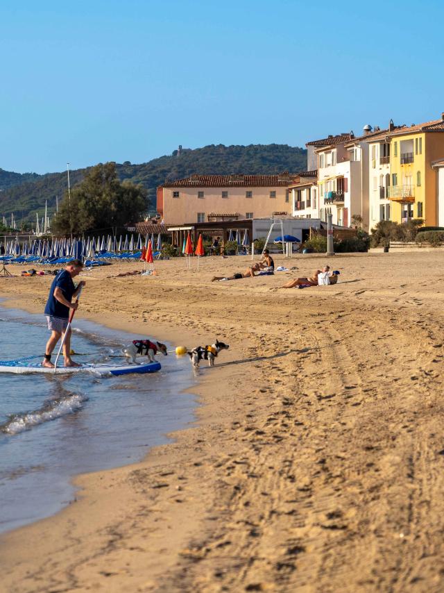 Voyager Avec Mon Chien Grimaud Golfe St Tropez 19