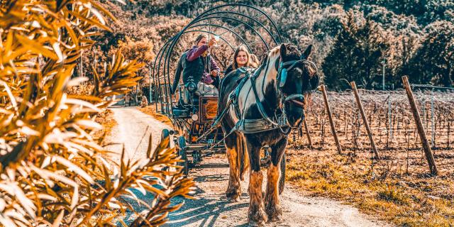 Balade Cheval Grimaud 5