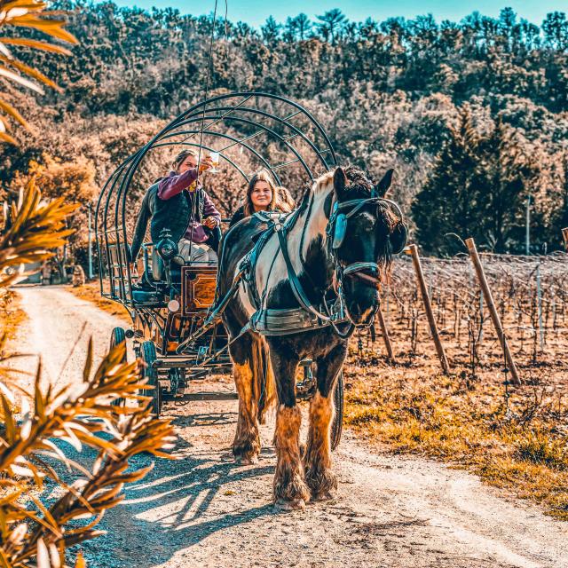 Balade Cheval Grimaud 5