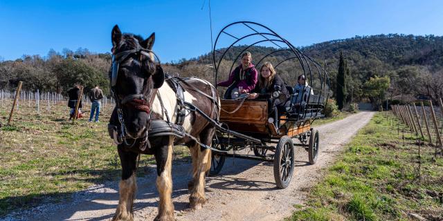 Balade Cheval Grimaud 7