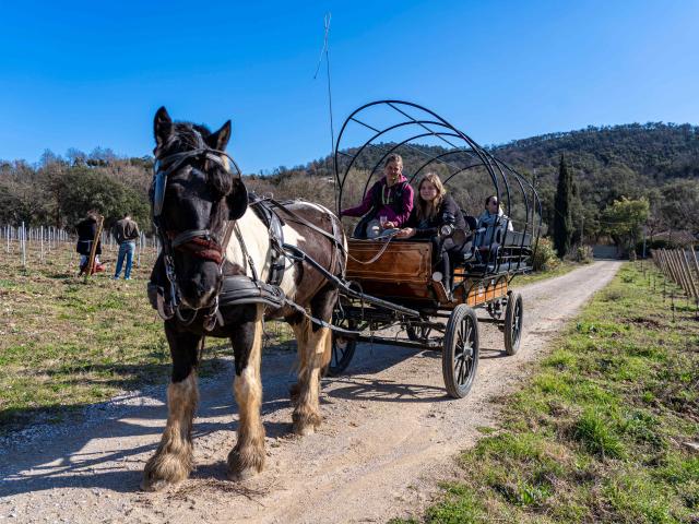 Balade Cheval Grimaud 7