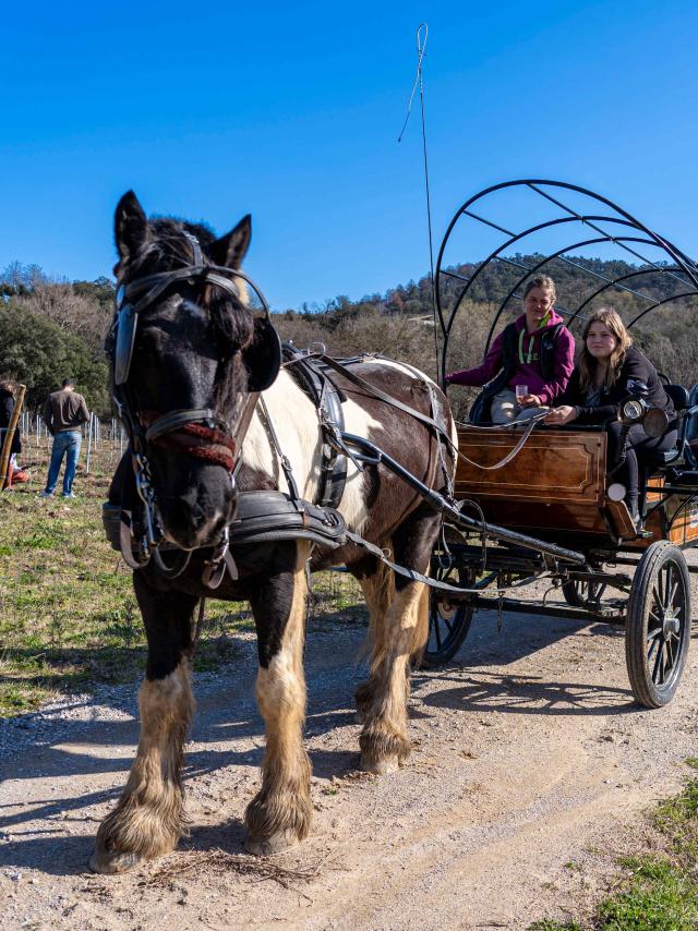 Balade Cheval Grimaud 7