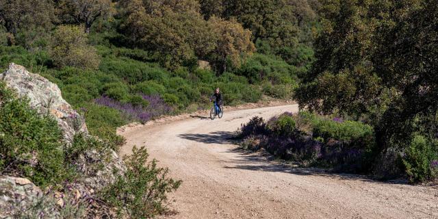 Faire Du Velo A Grimaud 7