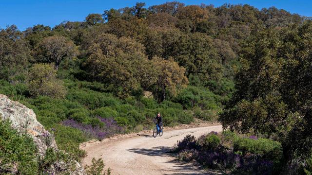 Faire Du Velo A Grimaud 7