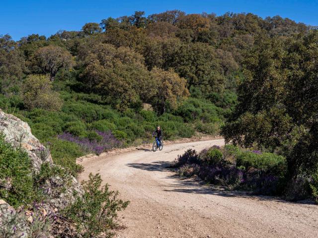 Faire Du Velo A Grimaud 7