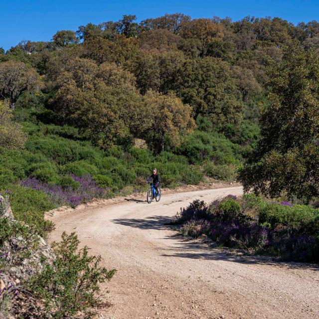 Faire Du Velo A Grimaud 7