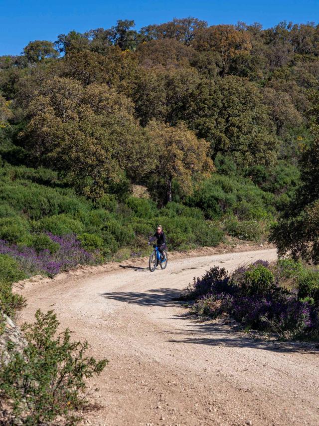 Faire Du Velo A Grimaud 7