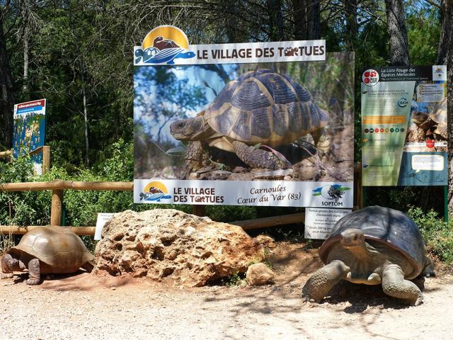 Village Des Tortues Var 2