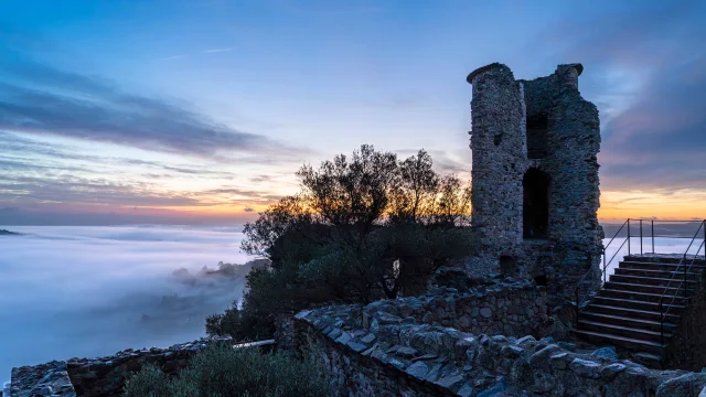 Chateau De Grimaud Var 22