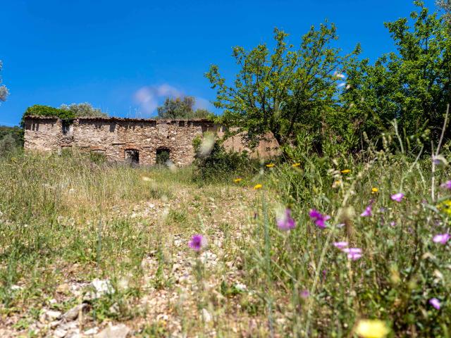 Massif Des Maures Grimaud Var Provence 45