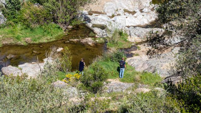 Sentier Calade Grimaud Var 10