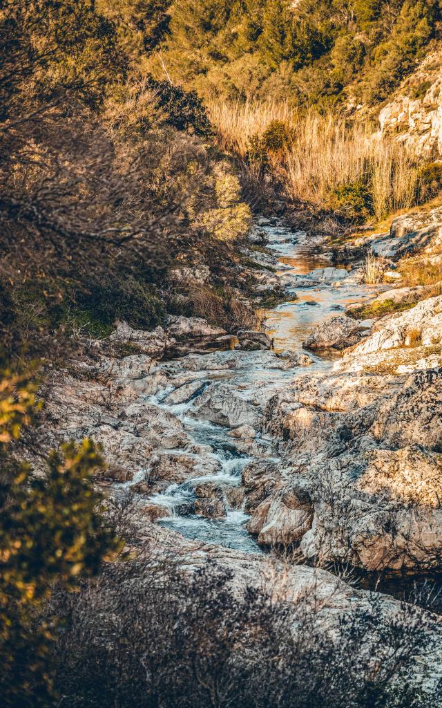 Sentier Calade Grimaud Var 9