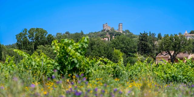 Sentier Castellane Grimaud Var 16