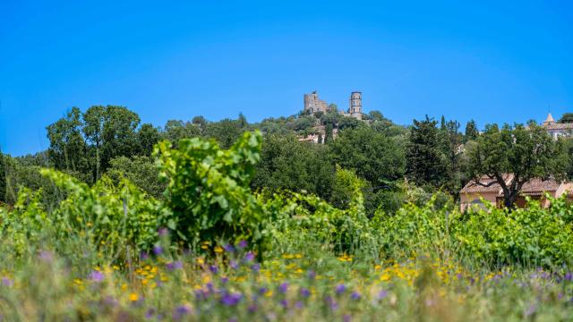 Sentier Castellane Grimaud Var 16