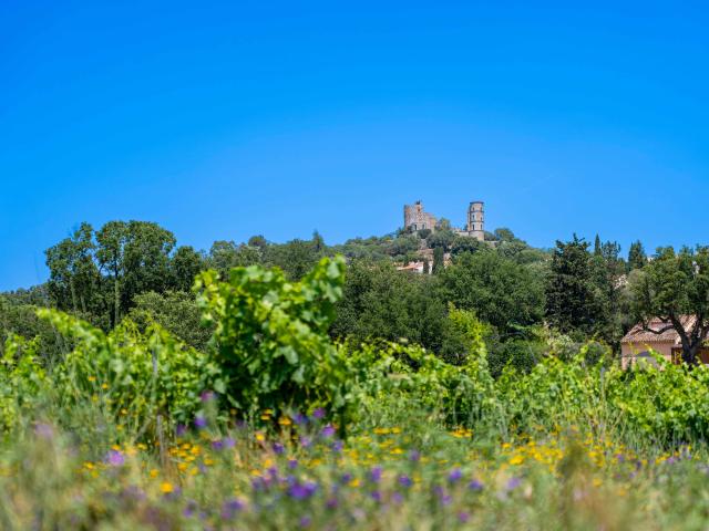 Sentier Castellane Grimaud Var 16