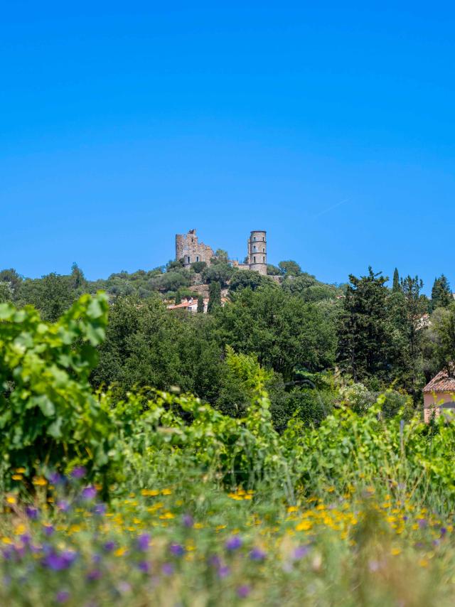 Sentier Castellane Grimaud Var 16