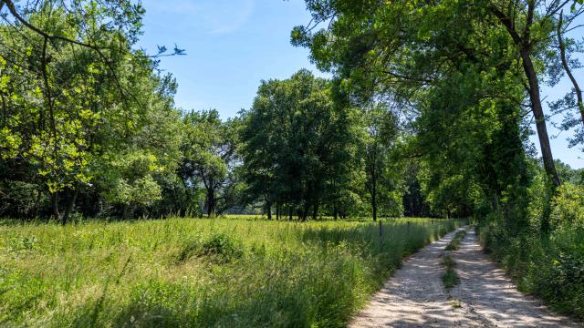 Sentier Peyron Grimaud Var 22