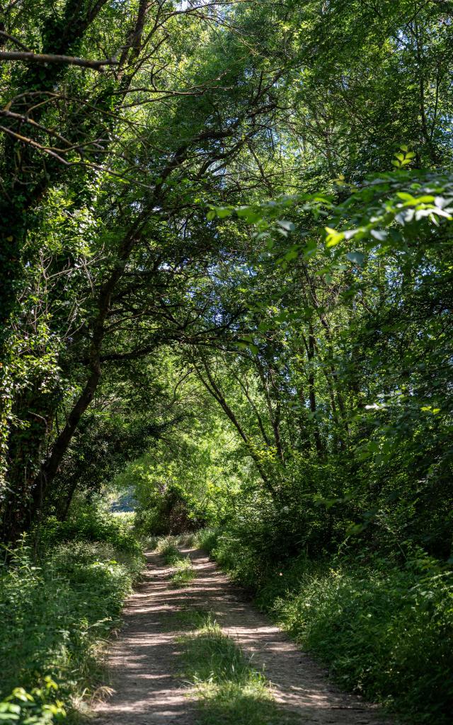 Sentier Peyron Grimaud Var 23