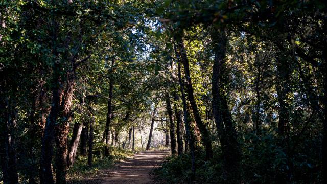 Sentier Pierredon Var 10