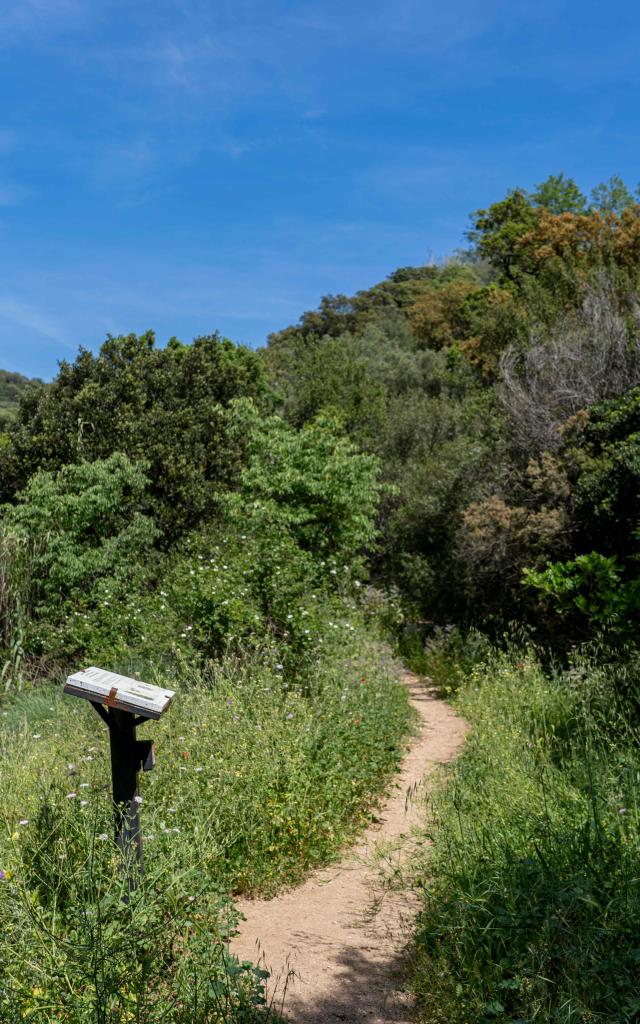 Sentier Pierredon Var 12