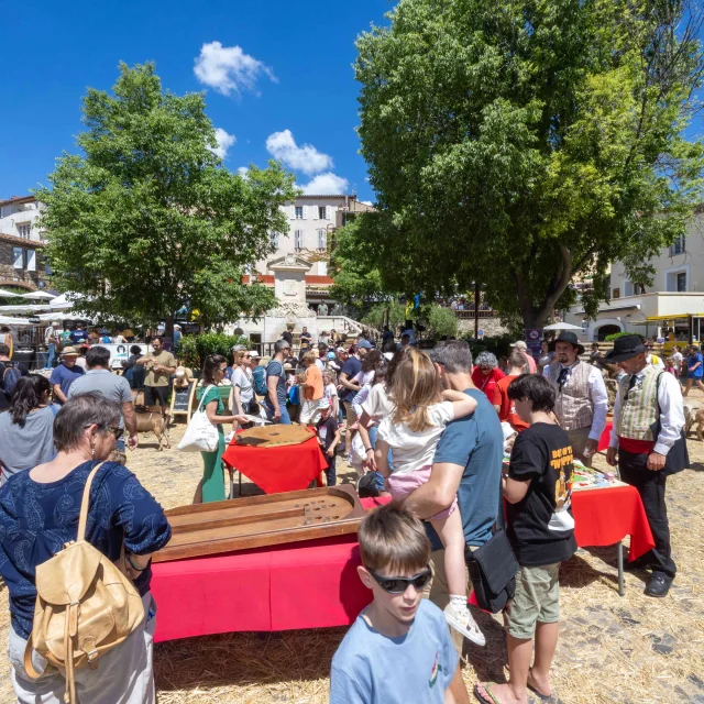 Foire De La Laine Grimaud Provence 28