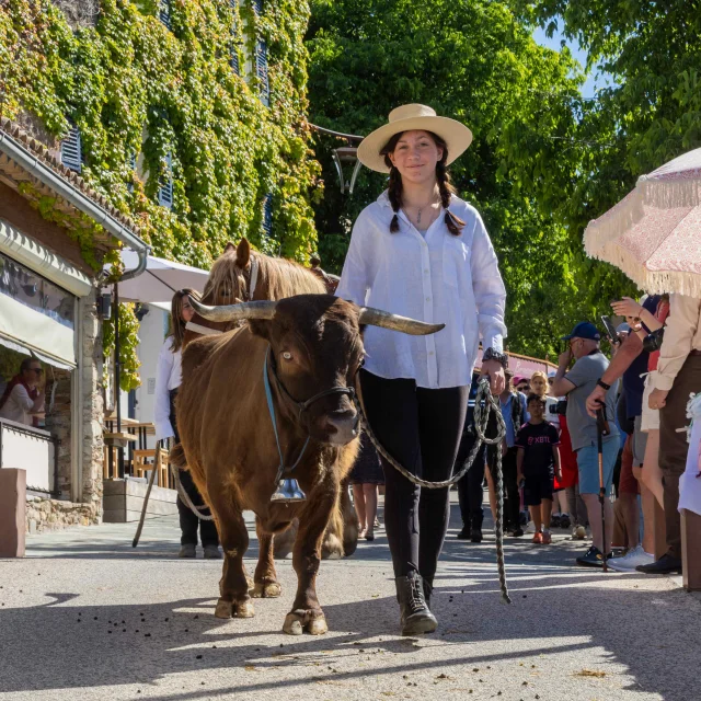 Foire De La Laine Grimaud Provence 29