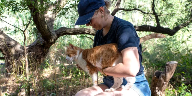 Chat Grimaud Provence 34